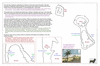 coo1c22 raiatea 2_thumb.gif